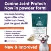 Canine Joint Protect - Image 7
