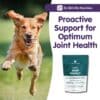 Canine Joint Protect - Image 6
