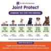 Canine Joint Protect - Image 4
