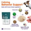 Canine Behavior Support - Image 2