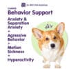 Canine Behavior Support - Image 3