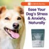 Canine Behavior Support - Image 7