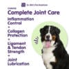 Canine Complete Joint Care - Image 3