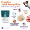 Canine Joint Protect - Image 2