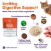 Feline Digestive Support - Image 2