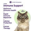 Feline Immune Support (12 Unit Case) - Image 4