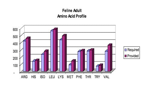 Feline Amino Acide Profile - Feline Fitness & Health