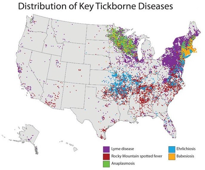 10. Tick Disease Areas