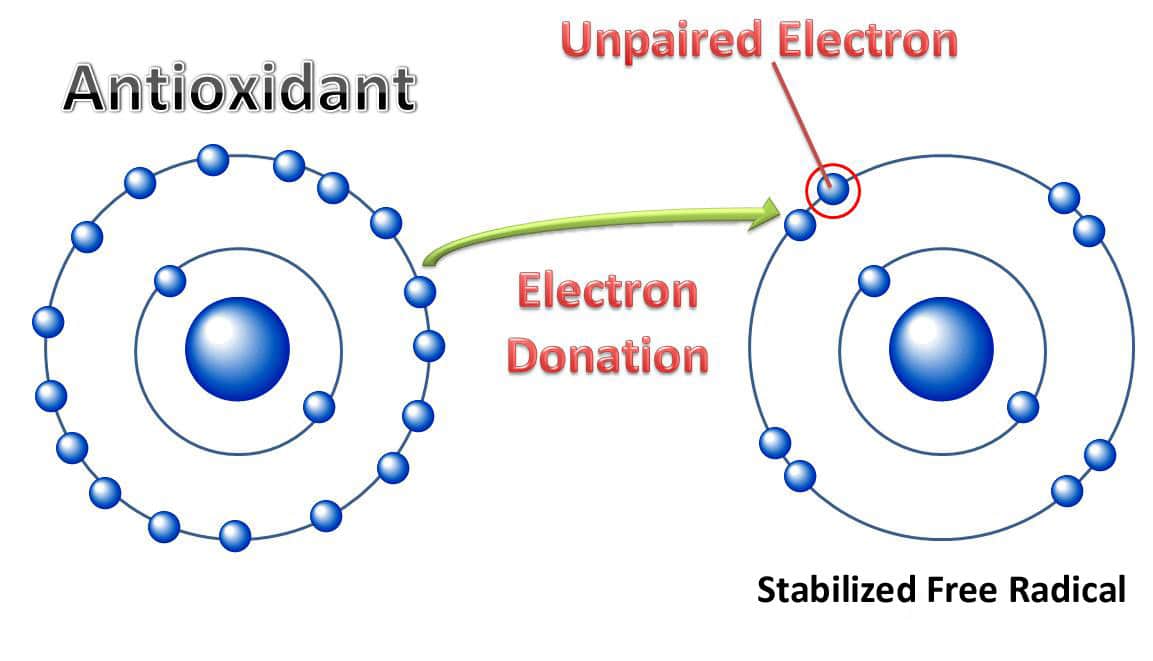 8-antioxidant