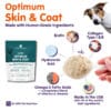 Canine Optimum Skin & Coat - Image 2
