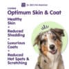 Canine Optimum Skin & Coat - Image 3