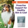 Canine Optimum Skin & Coat - Image 9