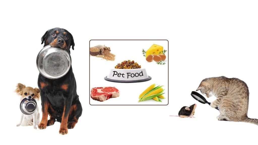 Pet Food Exposed An Analysis of Today s Pet Food Dr. Bill s Pet