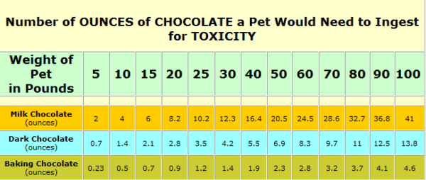Picture of Is Chocolate Bad For Dogs? Yes| Here's Why | Dr. Bill's Pet Nutrition