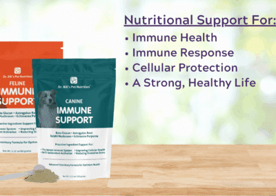 Immune Support | Strengthen Your Pet’s Immune System