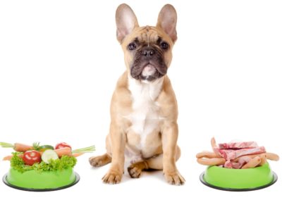 Your Dog Diet Plan: A Biologically Appropriate Approach