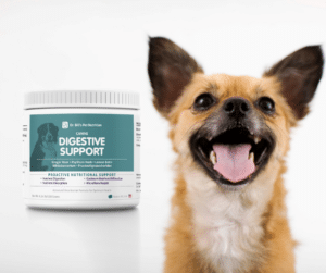 Canine Digestive Support Happy Dog