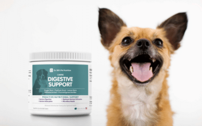 Best Digestive Support Supplement for Dogs at Every Age