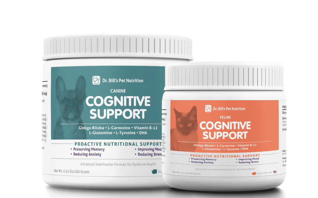 Supporting Cognitive Function in Dogs & Cats