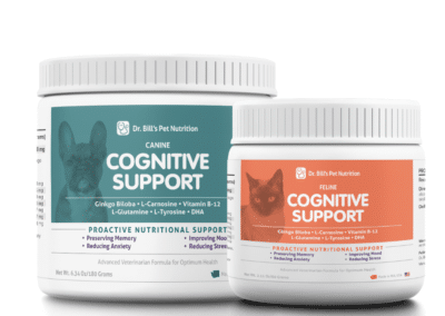 Supporting Cognitive Function in Dogs & Cats