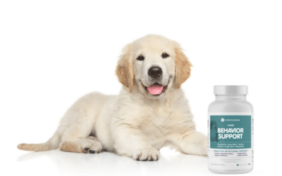Best Behavior Support Supplement for Dogs at Every Age