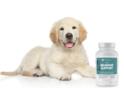 Best Behavior Support Supplement for Dogs at Every Age