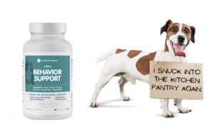 Dr. Bill's Canine Behavior Support Supplement
