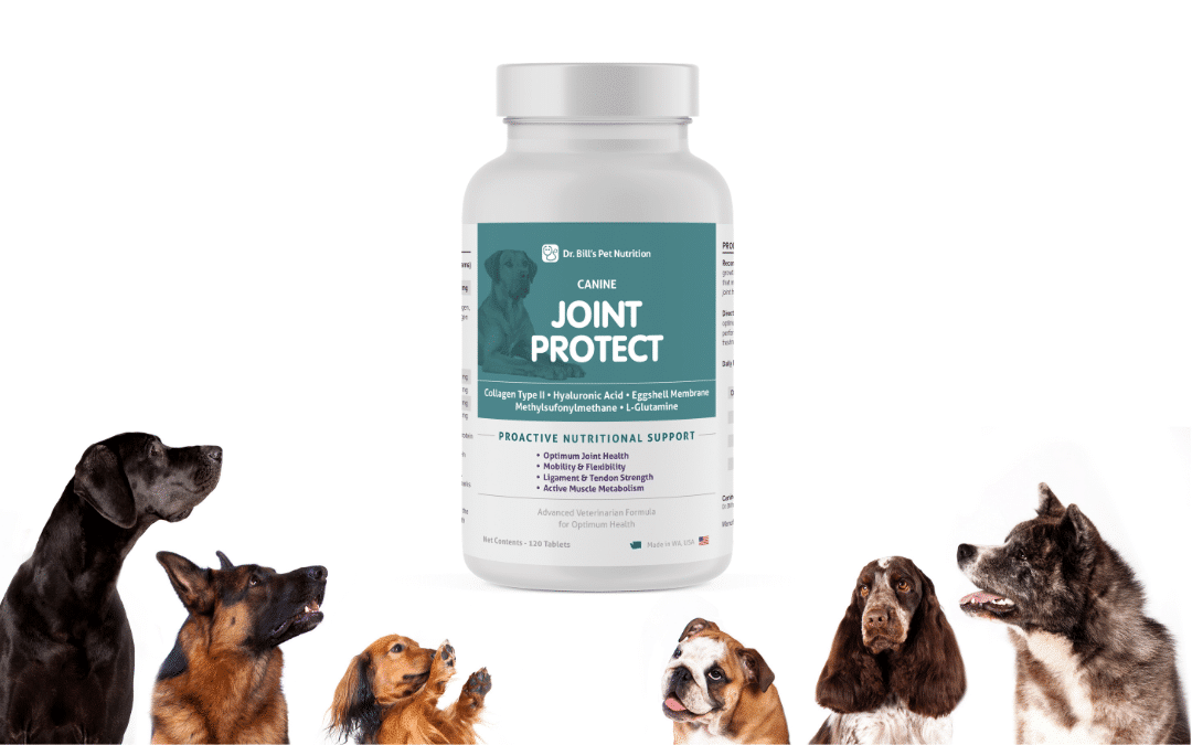 Joint Protection for Dogs