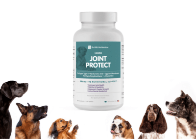 Joint Protection for Dogs