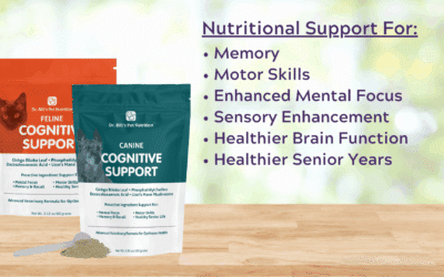Cognitive Support | Caring for Your Aging Pet