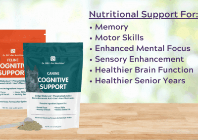 Cognitive Support | Caring for Your Aging Pet