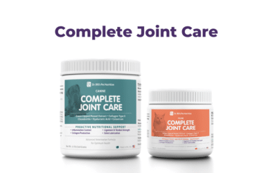 Joint Care Supplement for Dogs and Cats