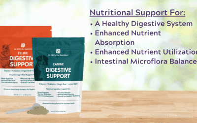 Digestive Support | The Importance of Probiotics for Dogs & Cats