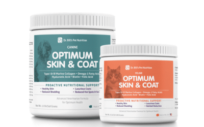 Skin and Coat Supplement for Dogs and Cats