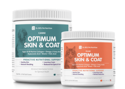 Skin and Coat Supplement for Dogs and Cats