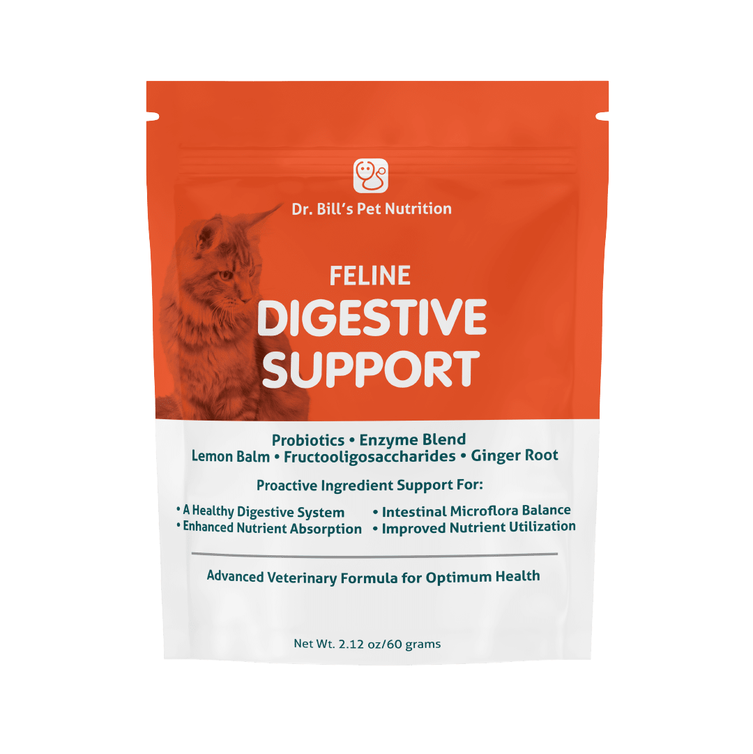 Feline Digestive Support Cat Health Dr. Bill s Pet Nutrition