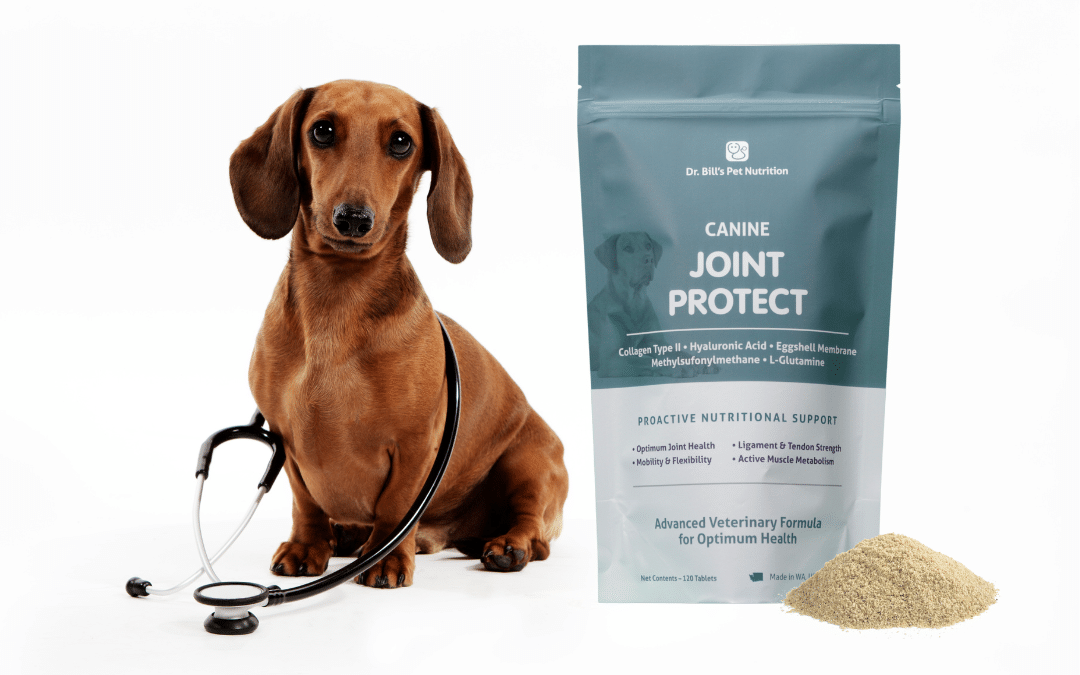 Dog joint pain