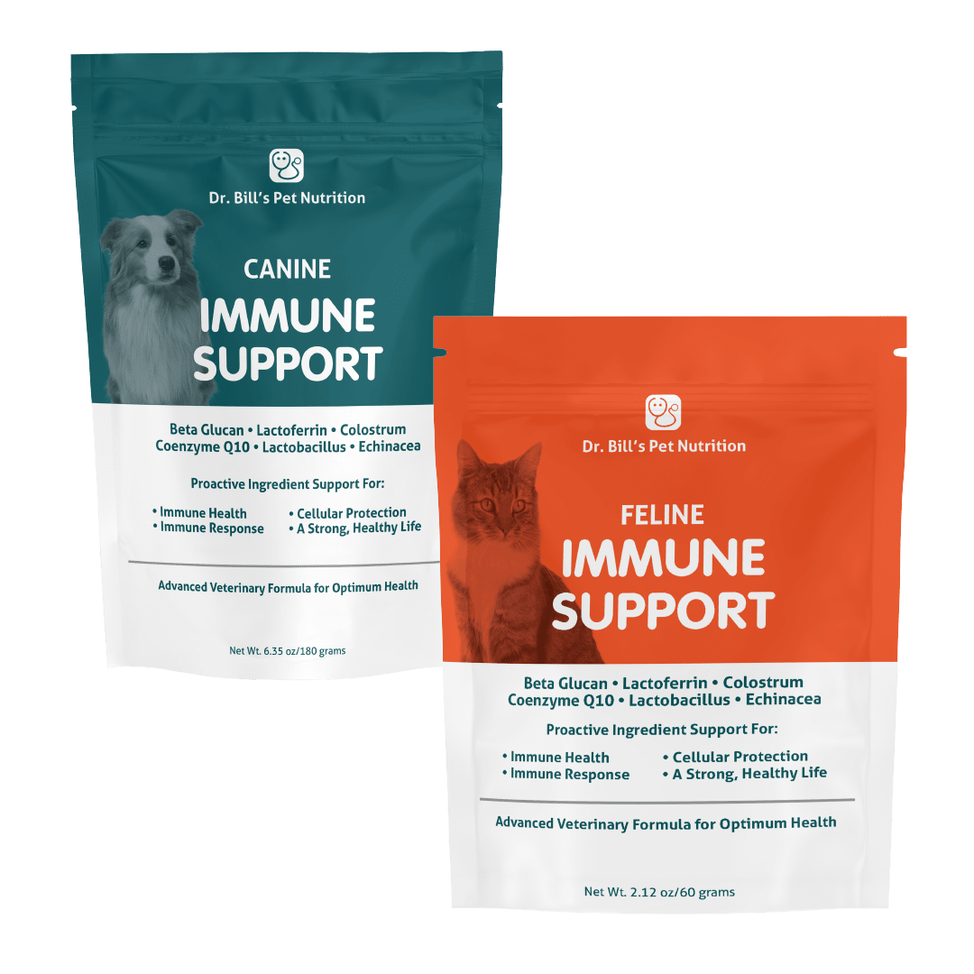 Immune Support Product Image