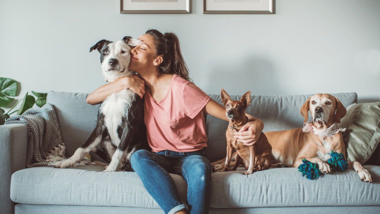 Why Do Animals Like Being Pet? Dr. Bills Pet Nutrition