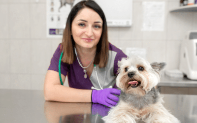 Common Canine Health Issues & How to Prevent Them