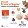 Feline Immune Support - Image 2