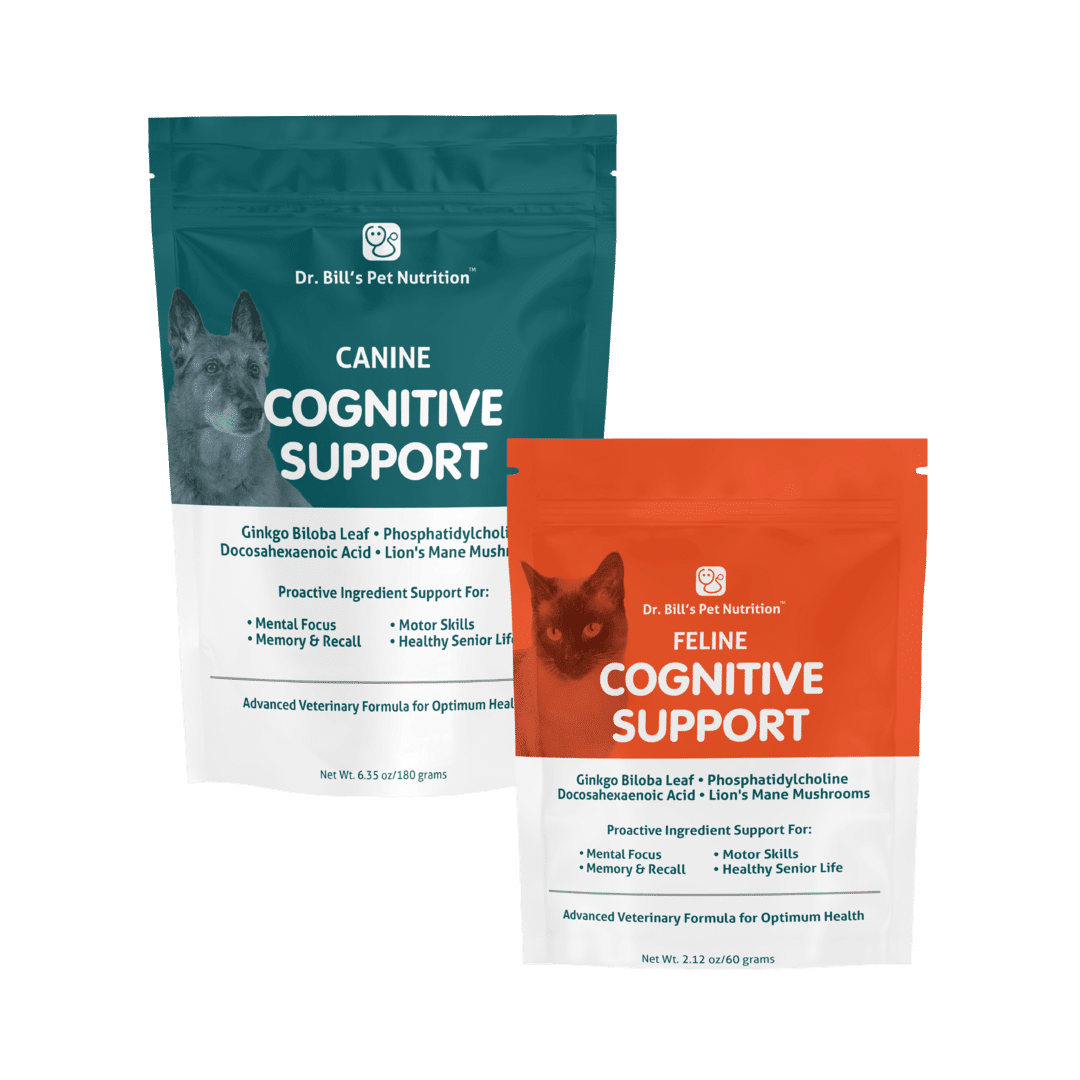 Cognitive Support Product Image