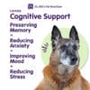 Canine Cognitive Support - Image 3