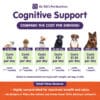 Canine Cognitive Support - Image 4