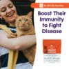 Feline Immune Support - Image 8