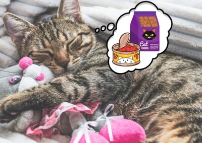 Do Cats Dream? And, If So, What Do Cats Dream About?