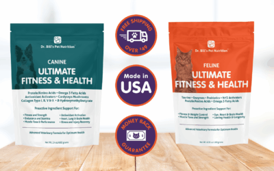 How Can Canine & Feline Nutritional Supplements Improve Your Pet’s Well-Being?