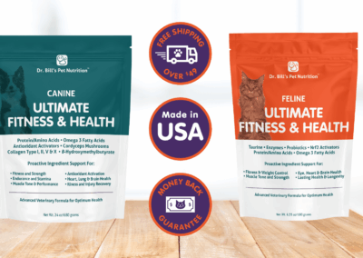 How Can Canine & Feline Nutritional Supplements Improve Your Pet’s Well-Being?