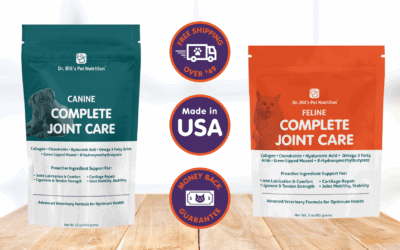 How Can Joint Care Supplements Improve Your Pet’s Well-Being?