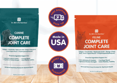How Can Joint Care Supplements Improve Your Pet’s Well-Being?